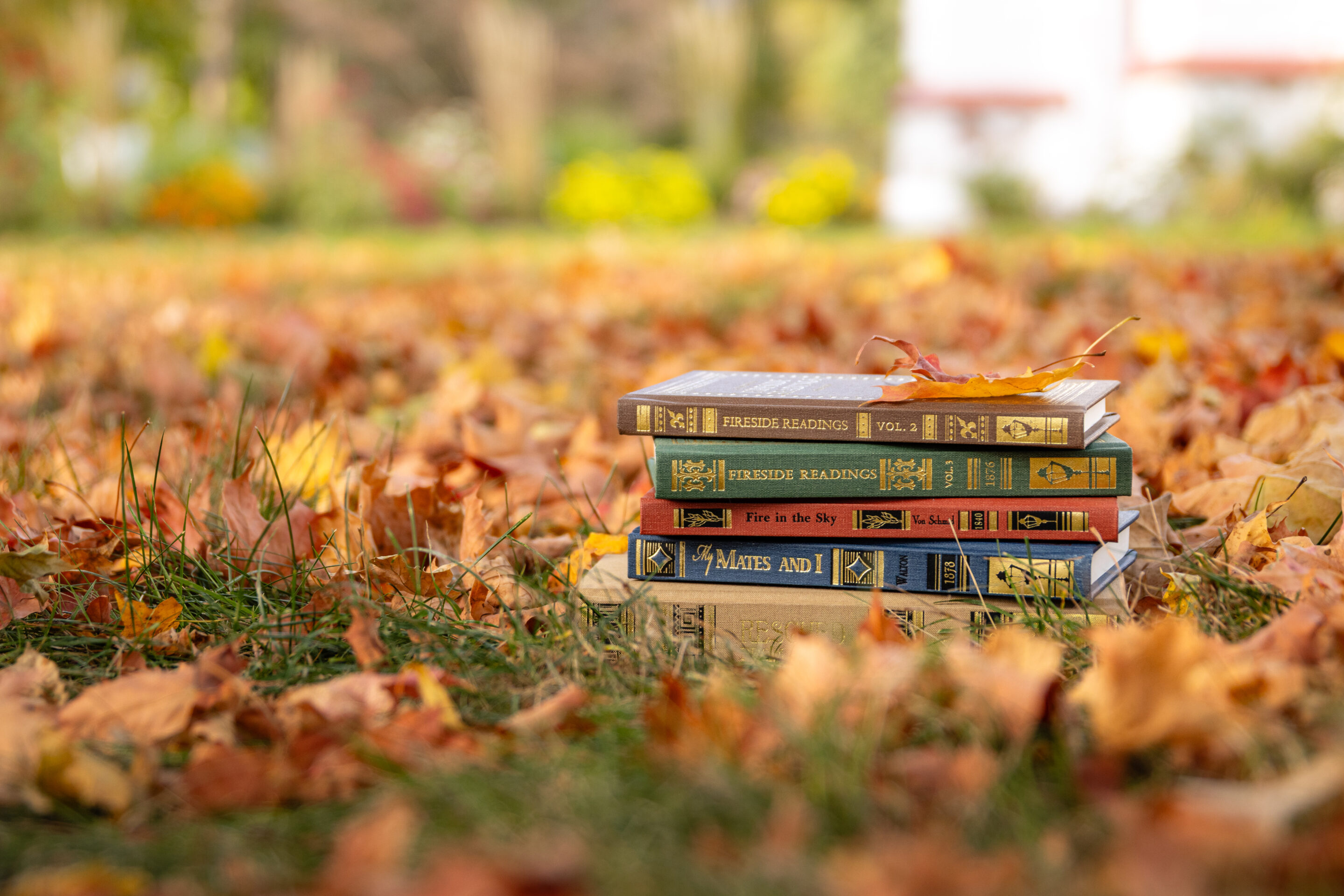 Books and Lemonade Books and Lemonade