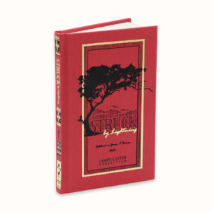 Struck-By-Lightning1