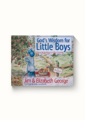 Illustrated God's Wisdom for Little Boys