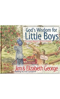 Damaged Illustrated God's Wisdom for Little Boys