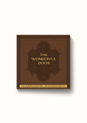 Audiobook: Wonderful Door, The - MP3 download